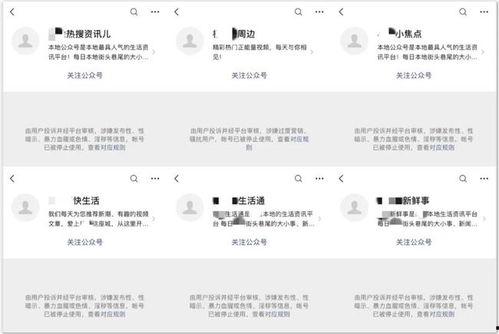 吃瓜大赛 社会热点事件视频,揭秘社会热点事件背后的网络狂欢