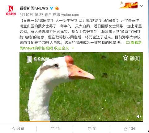 网红大鹅 网红大可乐,网络红人的魅力与影响力